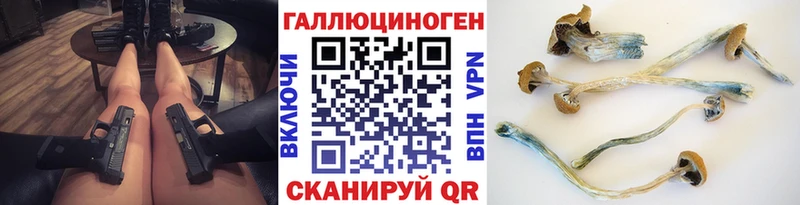Галлюциногенные грибы Cubensis  Кирсанов 